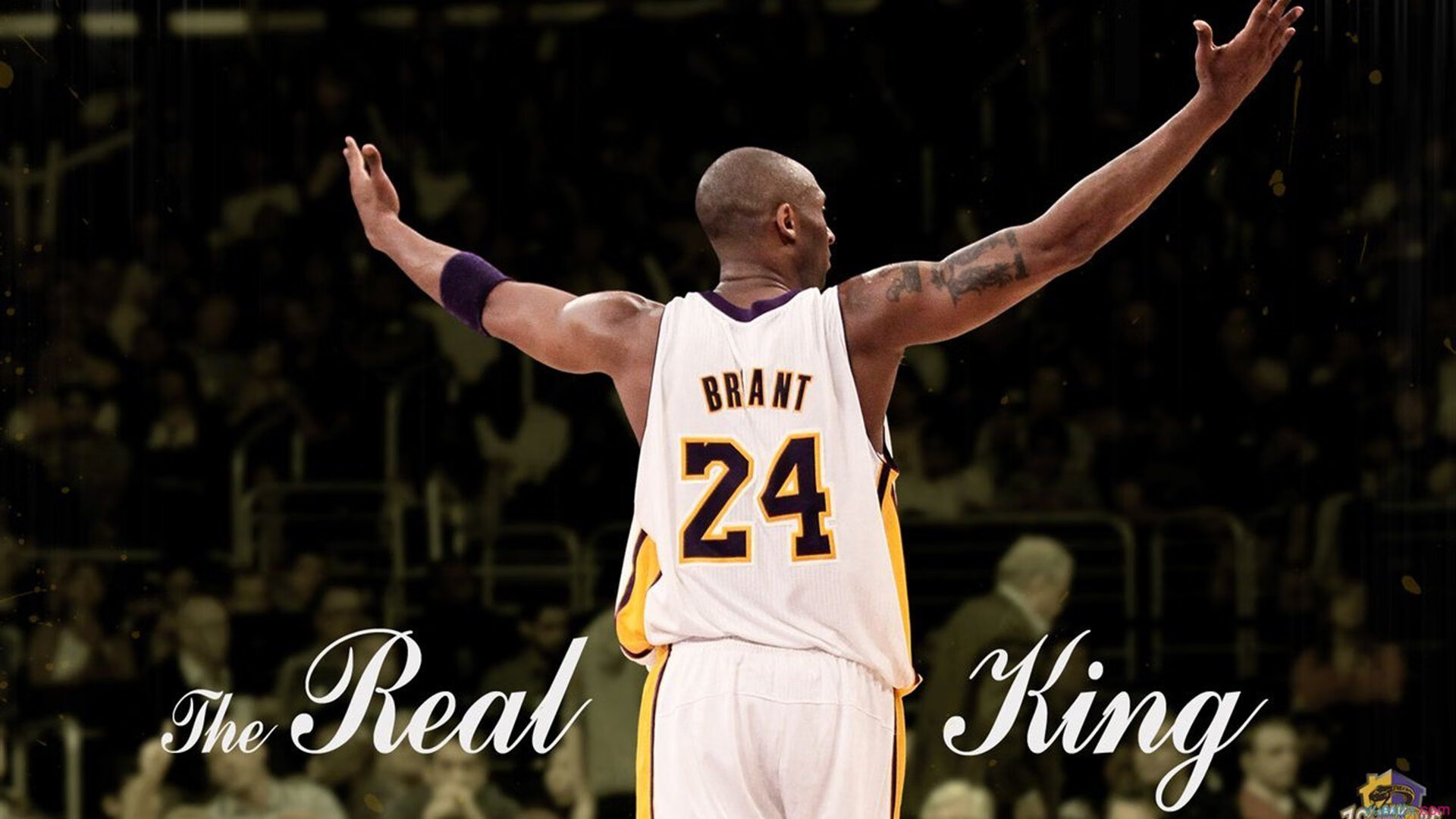 掘金强行终结鹈鹕,一场定义季后赛韧性的焦点战